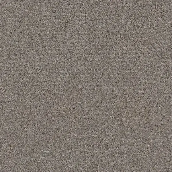 Draufsicht Girloon TWIN Teppichboden Velours 745 Braun, 2/4 m breit